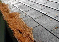 Gutter Cleaning by Armorseal, West Simsbury CT